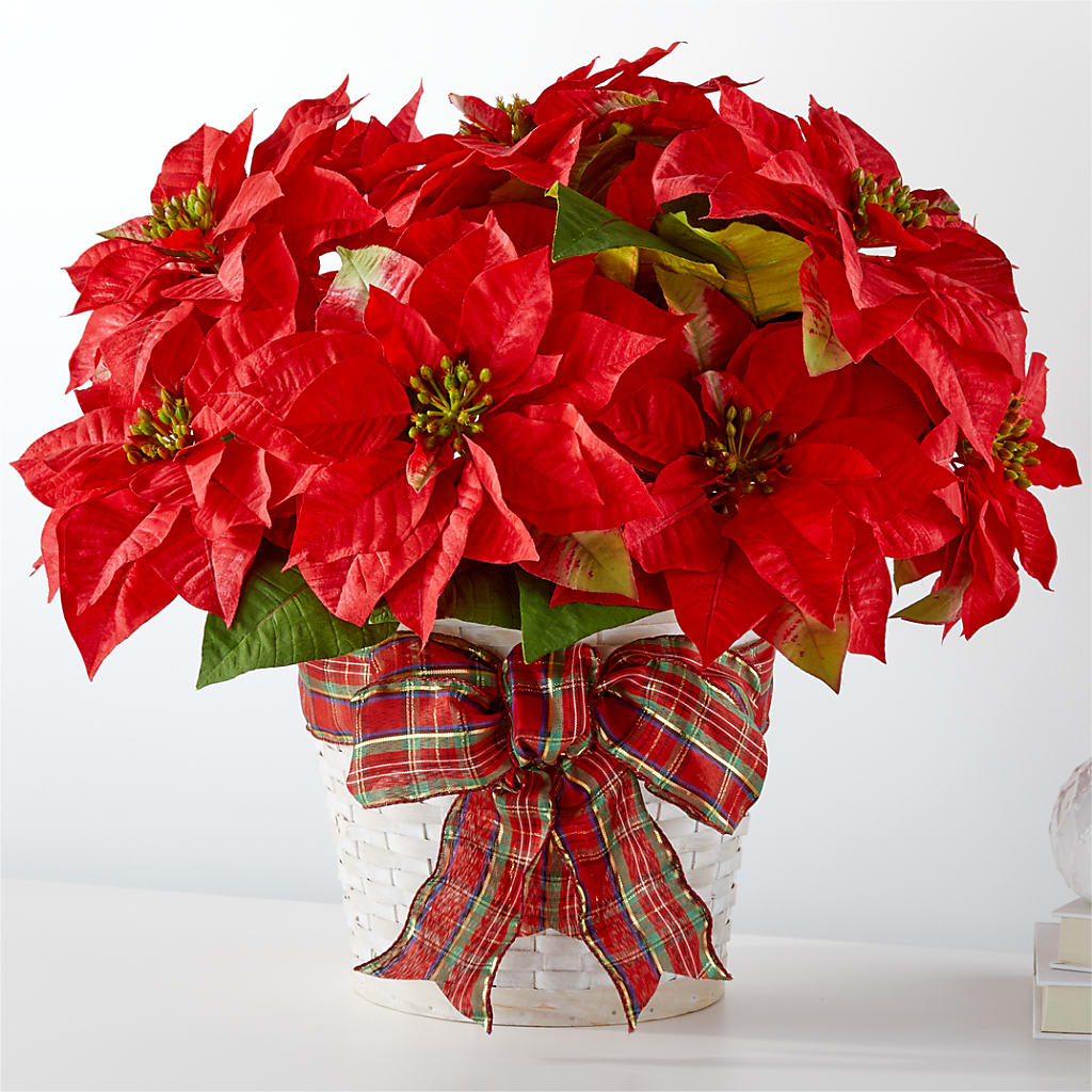 Happiest Holidays Poinsettia – Fleuriste Lily-rose, Magog PQ