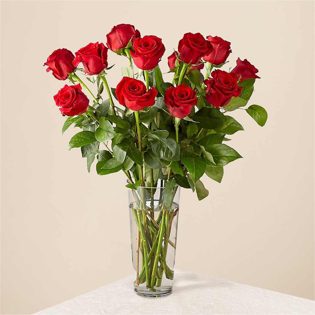 Long Stem Red Rose Bouquet – Fleuriste Lily-rose, Magog PQ