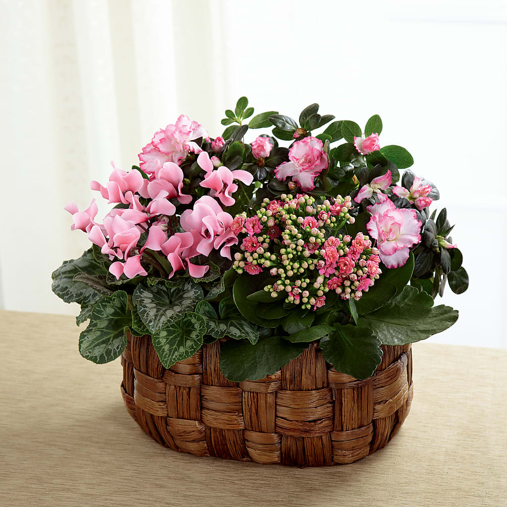 Pink Assortment – Fleuriste Lily-rose, Magog PQ