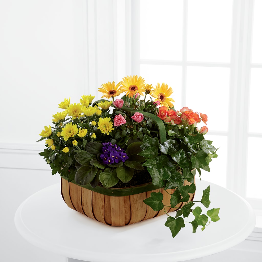 Gentle Blossoms Basket – Fleuriste Lily-rose, Magog PQ