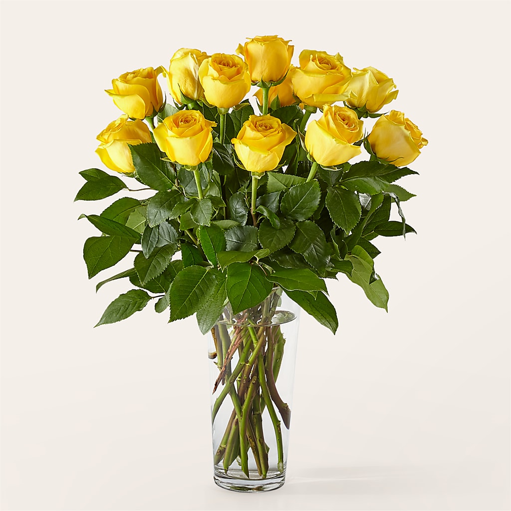 Long Stem Yellow Rose Bouquet – Fleuriste Lily-rose, Magog PQ