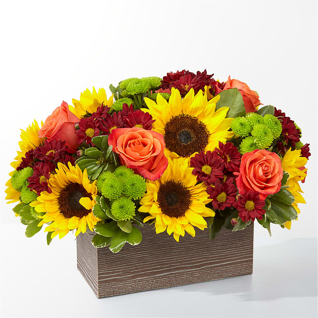 Happy Harvest Garden – Fleuriste Lily-rose, Magog PQ