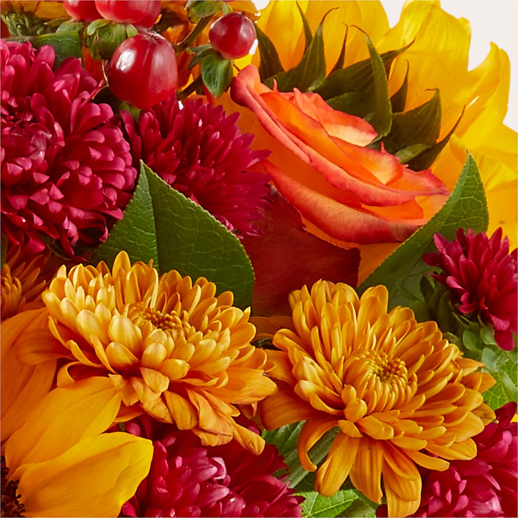 Sweater Season - A Florist Original – Fleuriste Lily-rose, Magog PQ