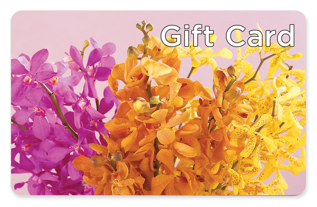 Gift Card – Fleuriste Lily-rose, Magog PQ