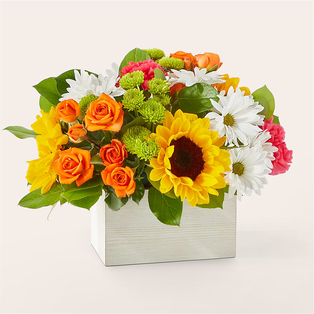 Sun-drenched Blooms Box Bouquet – Fleuriste Lily-rose, Magog PQ