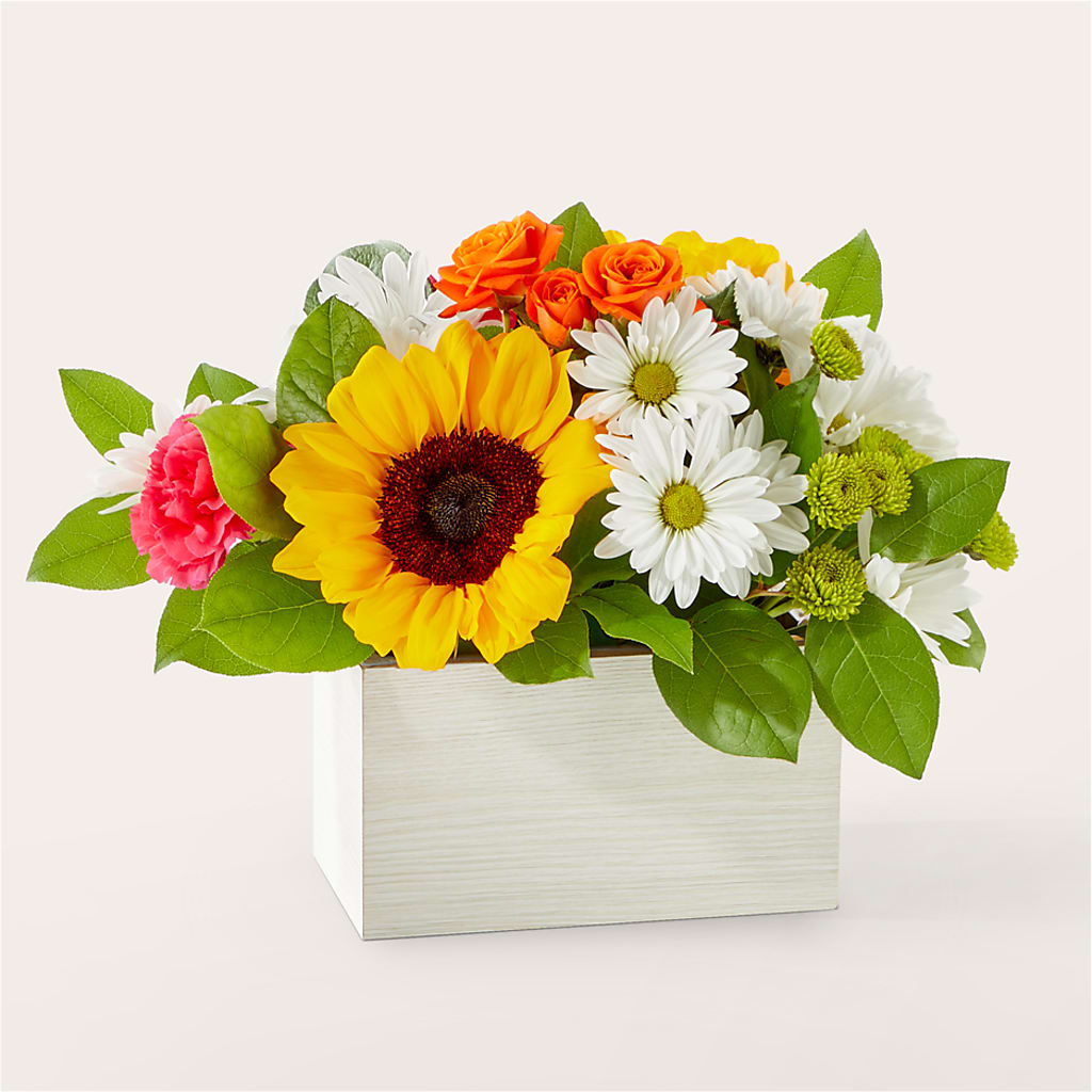 Sun-drenched Blooms Box Bouquet – Fleuriste Lily-rose, Magog PQ