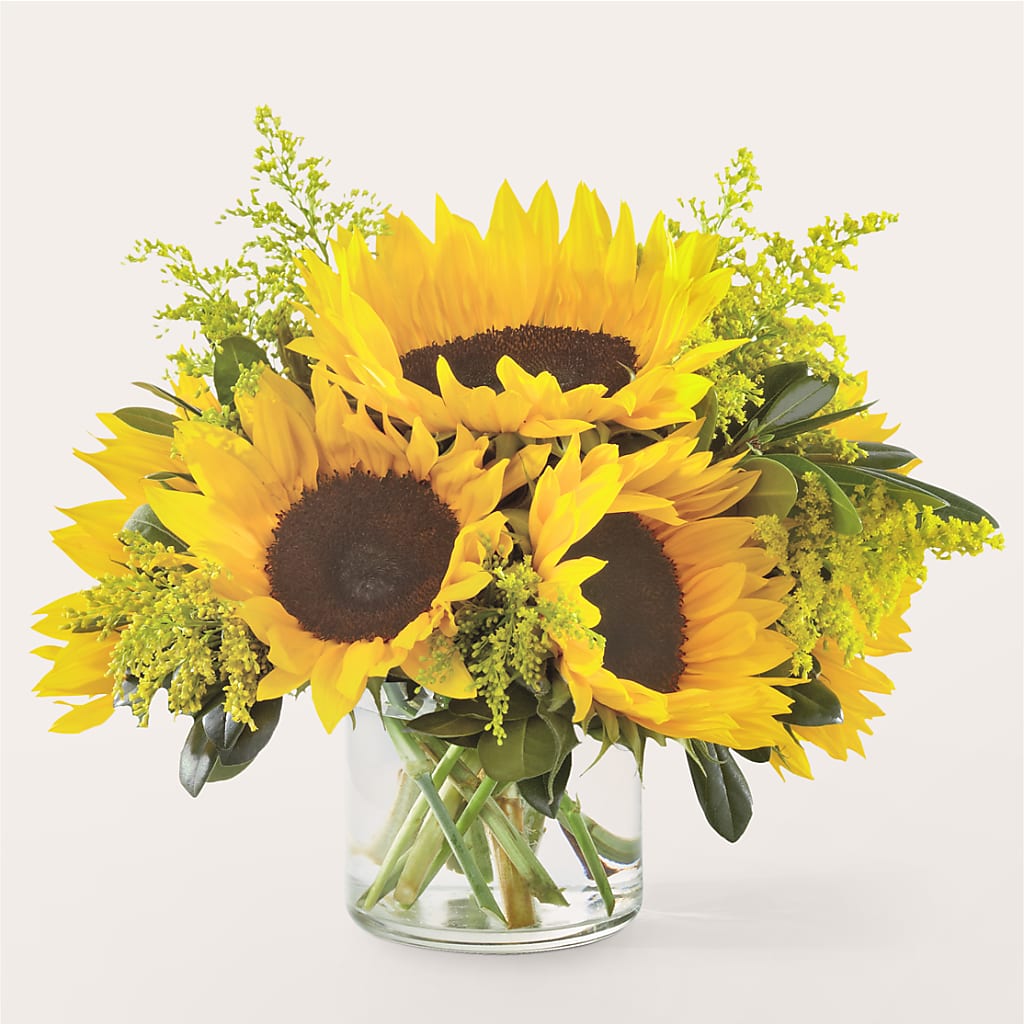 Beaming Sunflower Bouquet – Fleuriste Lily-rose, Magog PQ