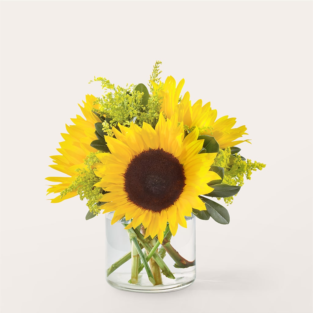 Beaming Sunflower Bouquet – Fleuriste Lily-rose, Magog PQ