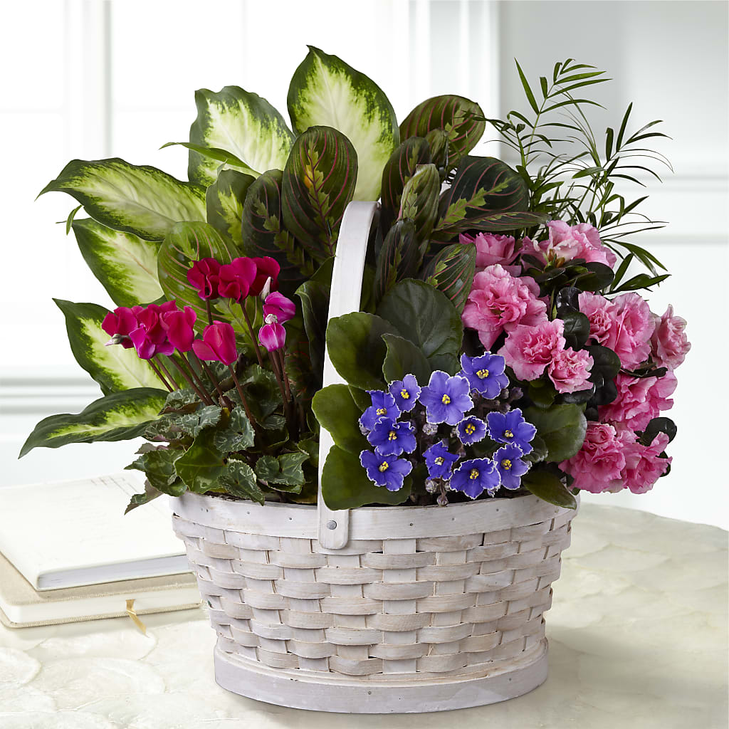 Peaceful Garden Planter – Fleuriste Lily-rose, Magog PQ