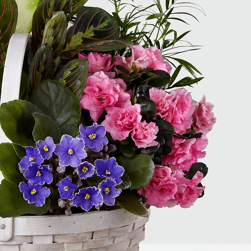Peaceful Garden Planter – Fleuriste Lily-rose, Magog PQ