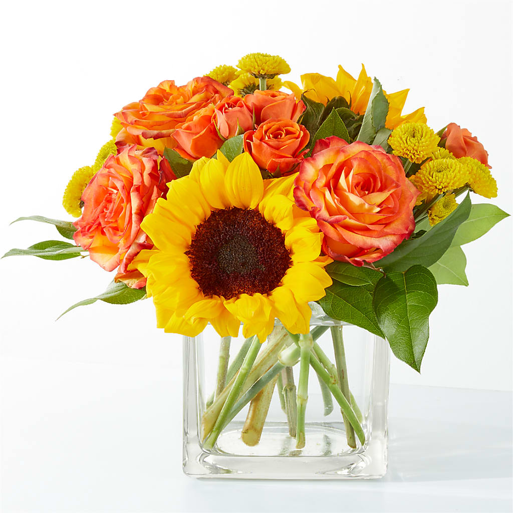 Picnic in the Park Bouquet – Fleuriste Lily-rose, Magog PQ