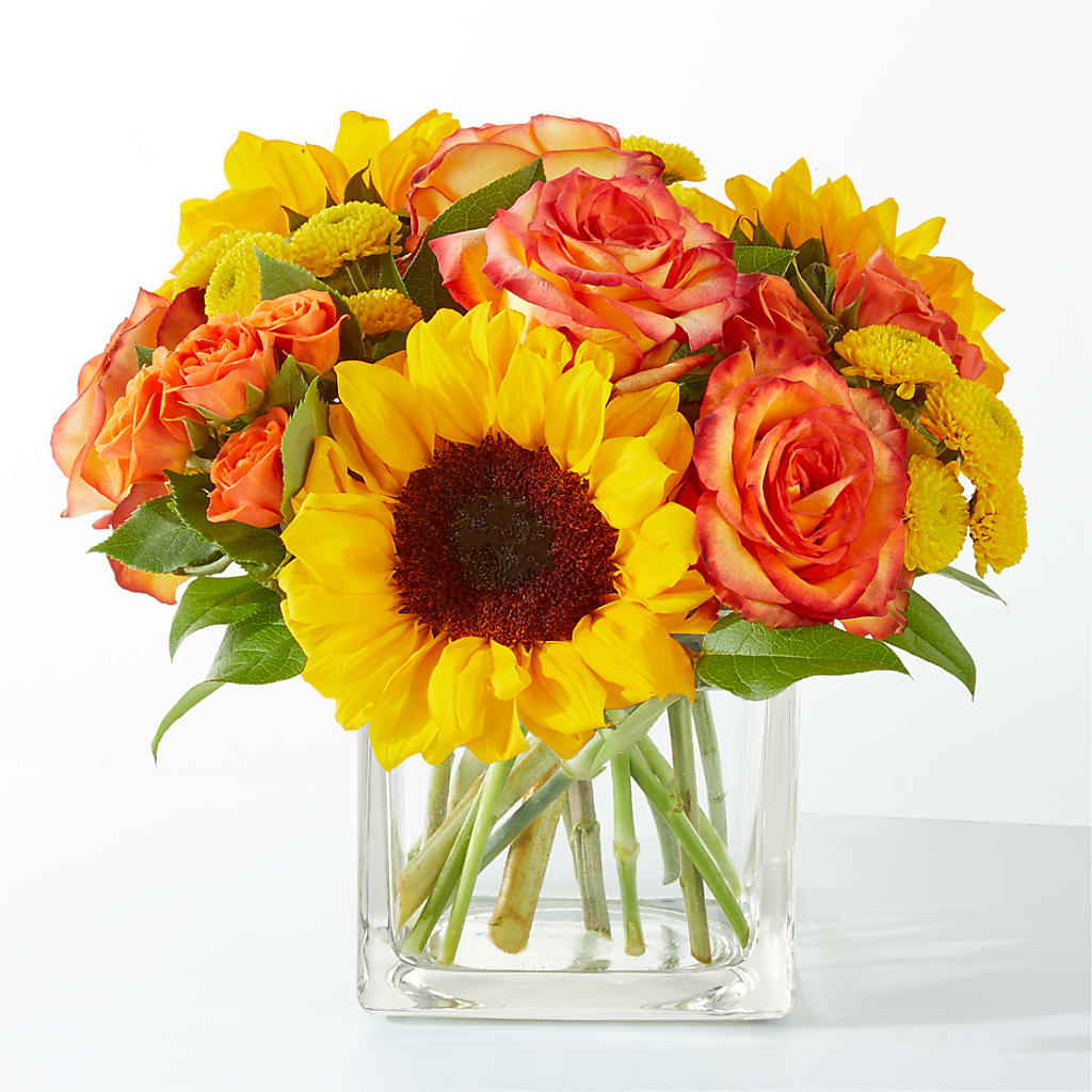 Picnic in the Park Bouquet – Fleuriste Lily-rose, Magog PQ