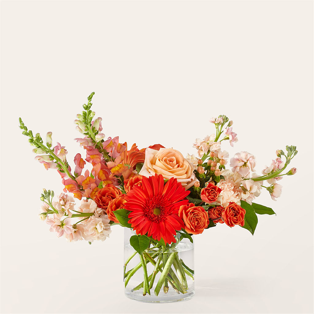 Paloma Please Bouquet – Fleuriste Lily-rose, Magog PQ