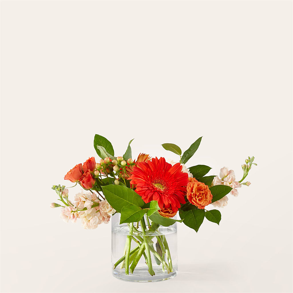Paloma Please Bouquet – Fleuriste Lily-rose, Magog PQ