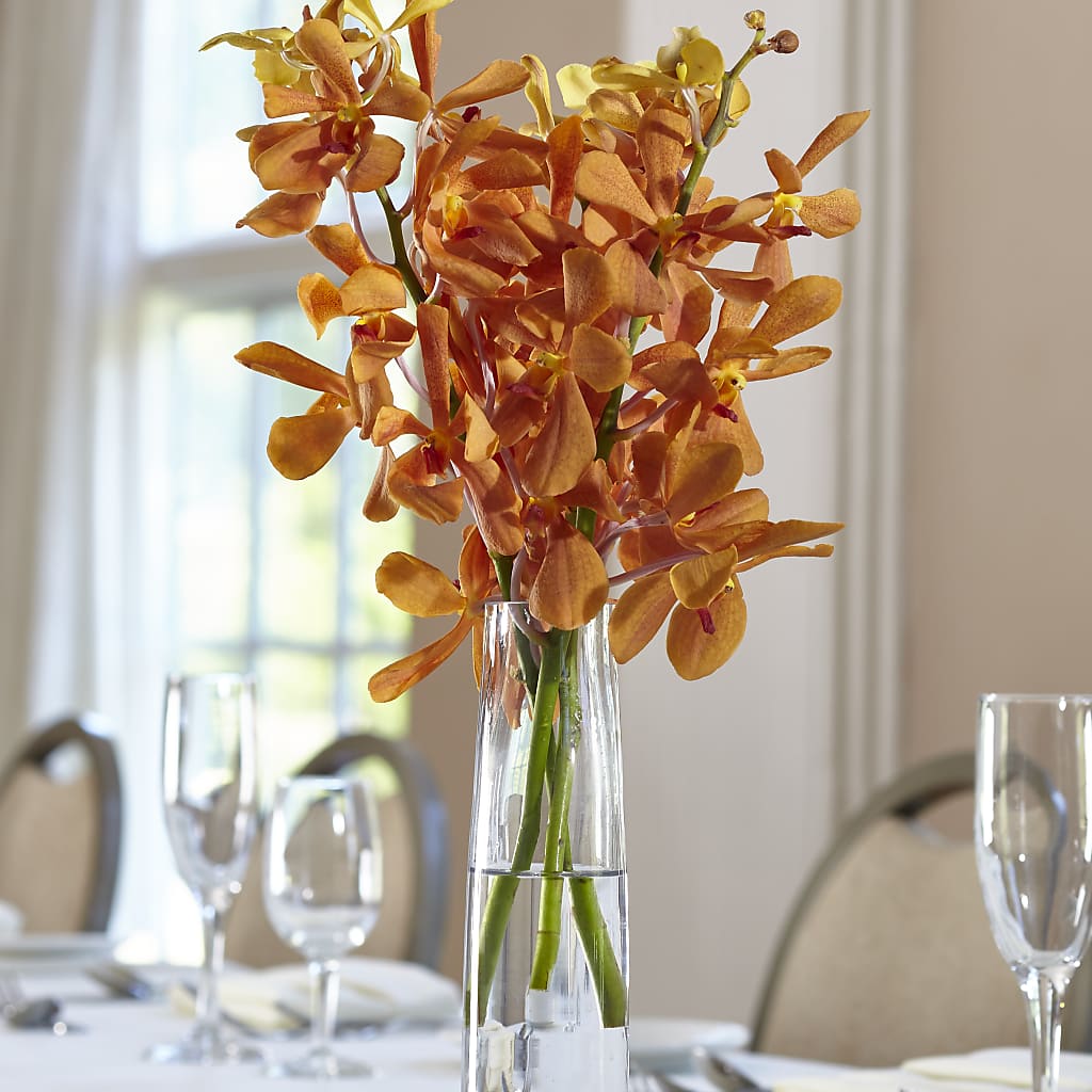 Orange Mokara Bud Vase – Fleuriste Lily-rose, Magog PQ