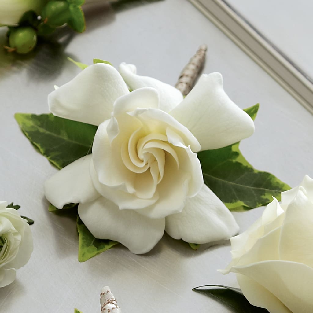 Gardenia Boutonniere – Fleuriste Lily-rose, Magog PQ