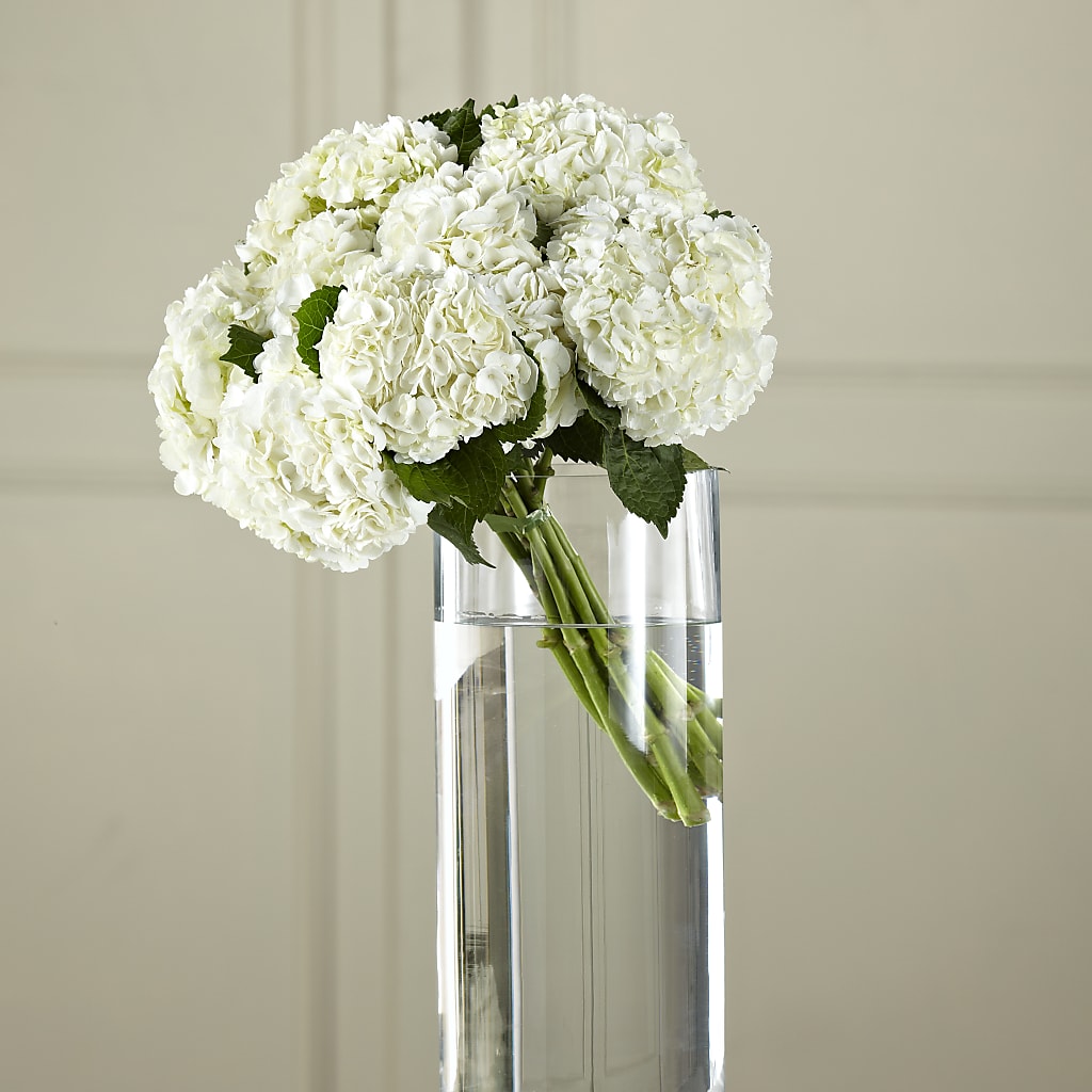 White Hydrangea Hand-Tied Bouquet – Fleuriste Lily-rose, Magog PQ
