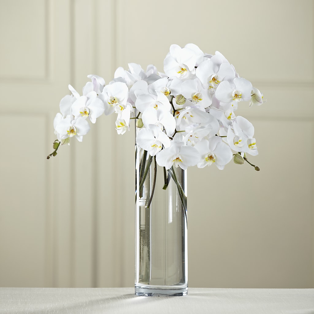 White Phalaenopsis Bouquet – Fleuriste Lily-rose, Magog PQ