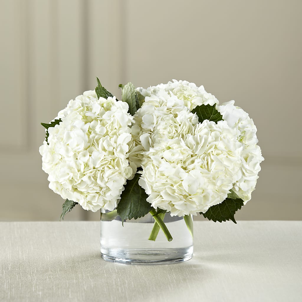 White Hydrangea Bouquet – Fleuriste Lily-rose, Magog PQ