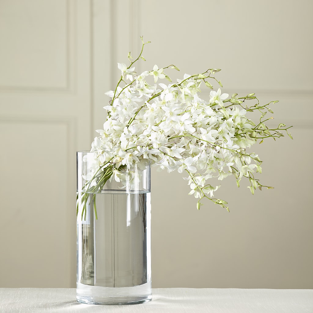 White Dendrobium Bouquet – Fleuriste Lily-rose, Magog PQ