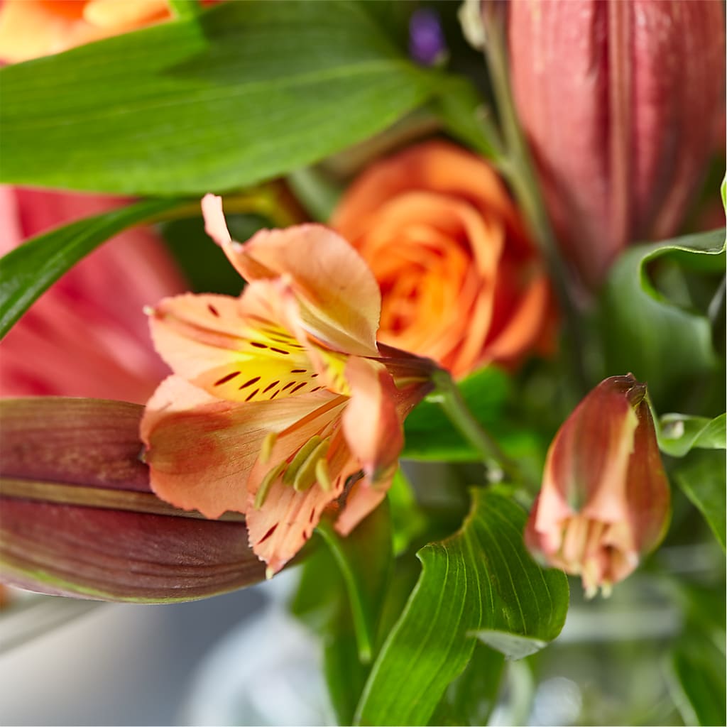 Bold & Bright – A Florist Original –  Fleuriste Lily-rose, Magog PQ