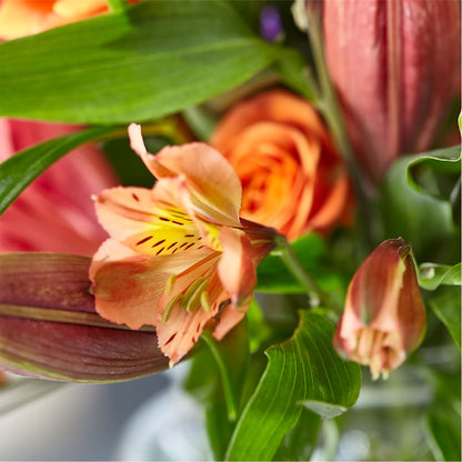 Bold & Bright – A Florist Original –  Fleuriste Lily-rose, Magog PQ