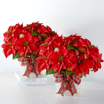 Happiest Holidays Poinsettia Bundle –  Fleuriste Lily-rose, Magog PQ
