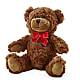 Adorable Plush Bear –  Fleuriste Lily-rose, Magog PQ