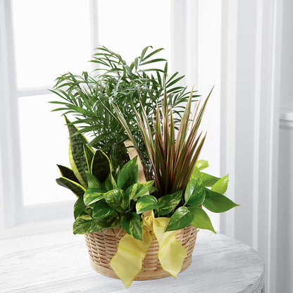 French Garden –  Fleuriste Lily-rose, Magog PQ