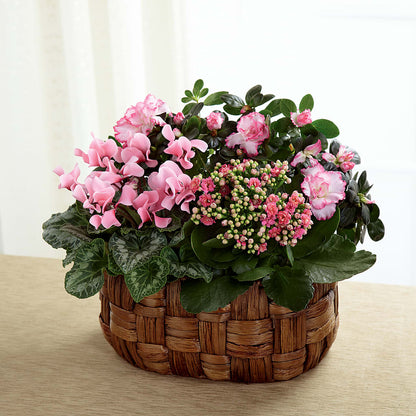 Pink Assortment –  Fleuriste Lily-rose, Magog PQ