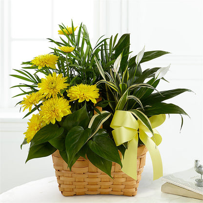 Loving Light Dishgarden –  Fleuriste Lily-rose, Magog PQ