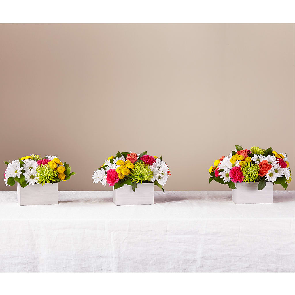 Sorbet Bouquet –  Fleuriste Lily-rose, Magog PQ