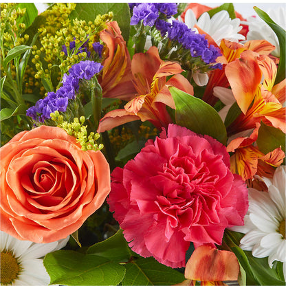 Oopsie Daisy Box Bouquet –  Fleuriste Lily-rose, Magog PQ