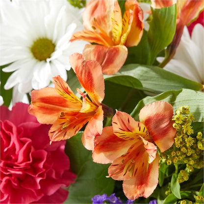 Oopsie Daisy Box Bouquet –  Fleuriste Lily-rose, Magog PQ