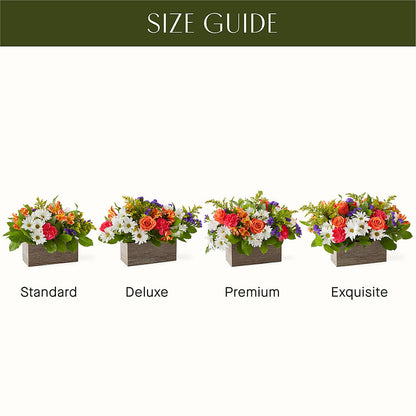 Oopsie Daisy Box Bouquet –  Fleuriste Lily-rose, Magog PQ