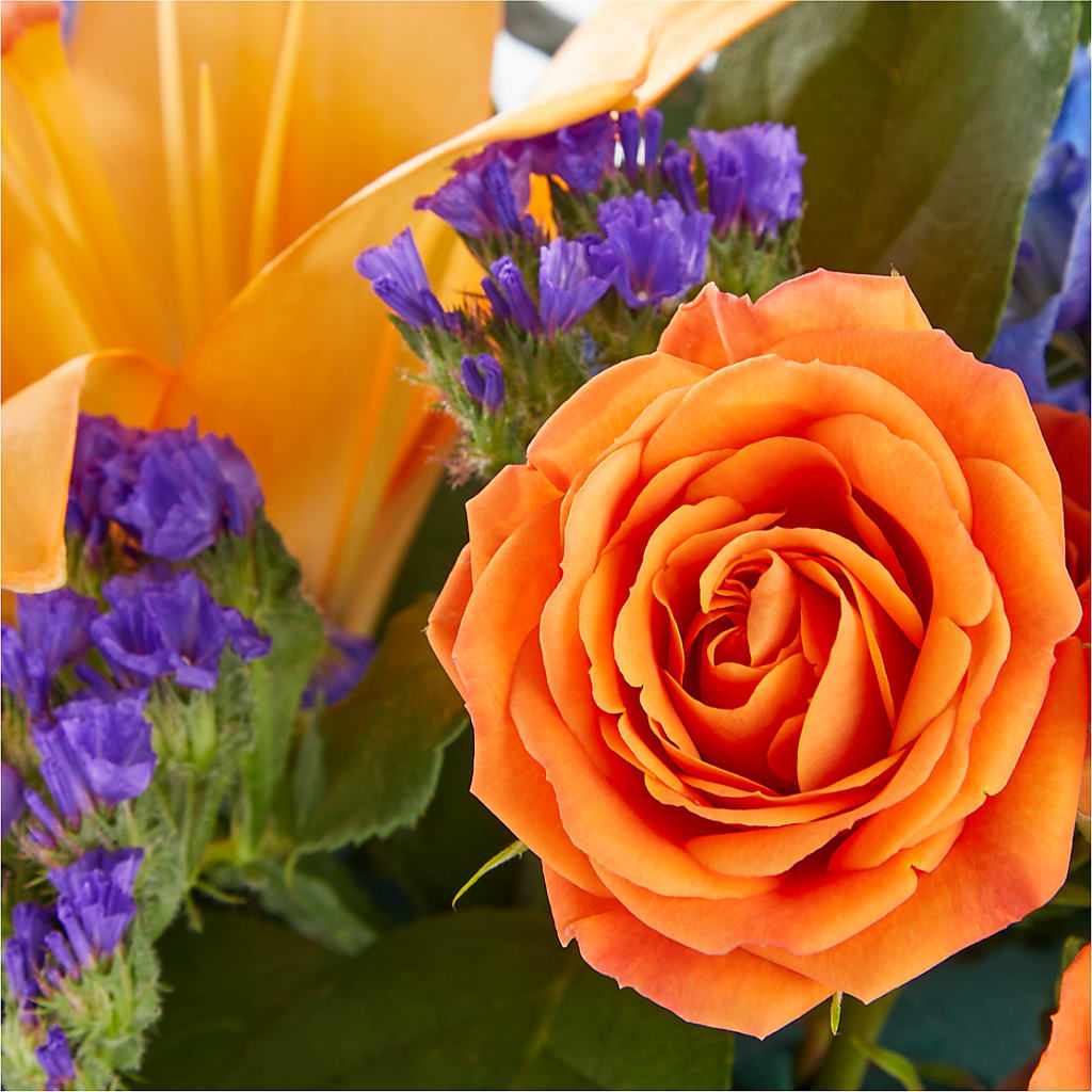 Radiant Citrus Box Bouquet –  Fleuriste Lily-rose, Magog PQ