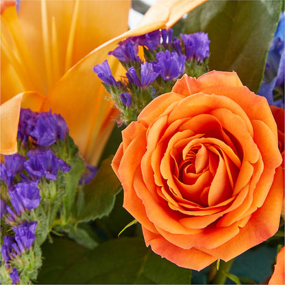 Radiant Citrus Box Bouquet –  Fleuriste Lily-rose, Magog PQ