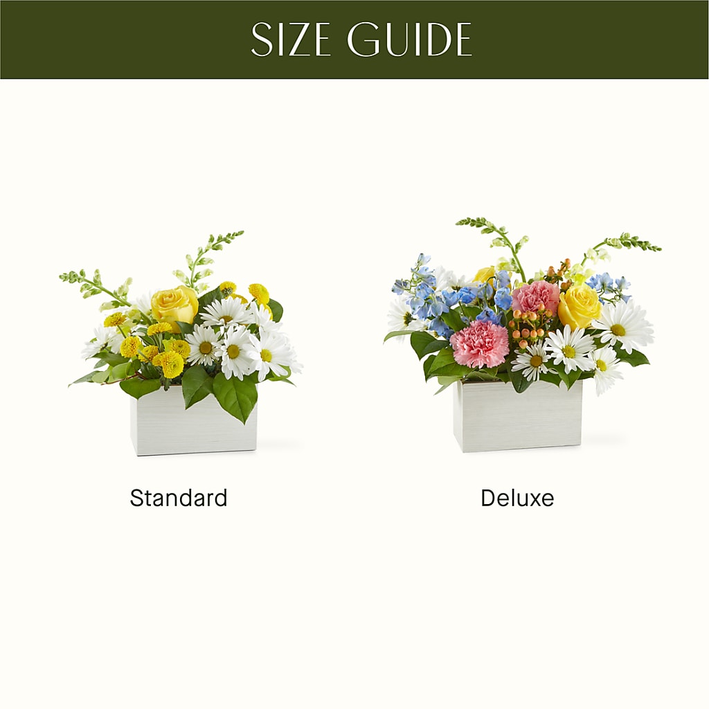 Sun Salutation Box Bouquet –  Fleuriste Lily-rose, Magog PQ