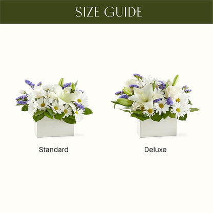Beyond Blue Box Bouquet –  Fleuriste Lily-rose, Magog PQ