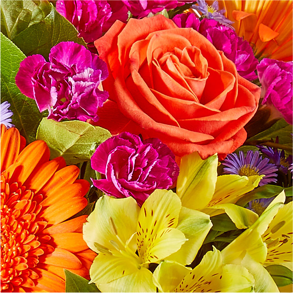 Tricks & Treats Pumpkin –  Fleuriste Lily-rose, Magog PQ