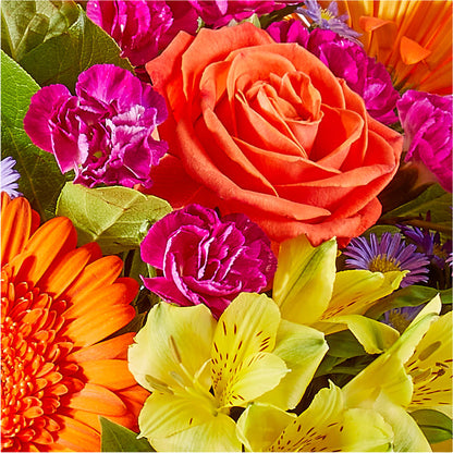 Tricks & Treats Pumpkin –  Fleuriste Lily-rose, Magog PQ