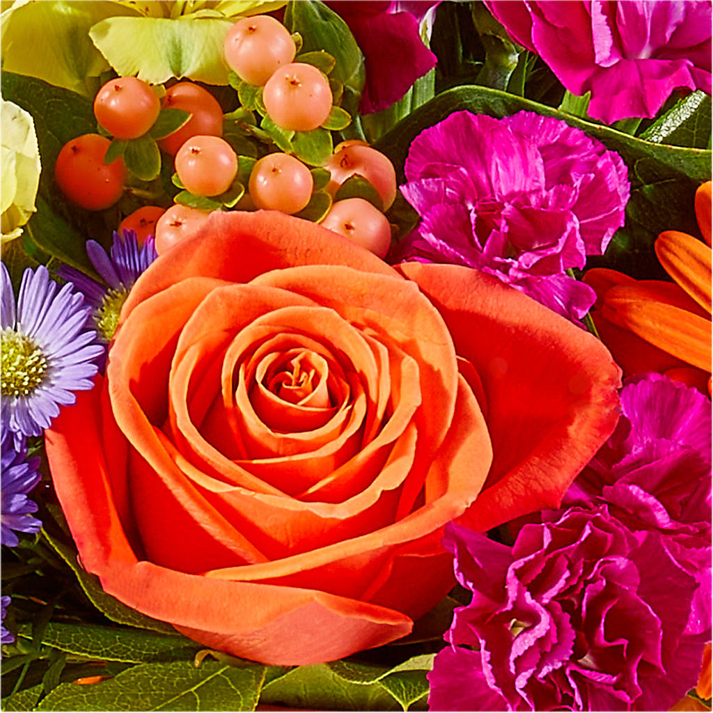 Tricks & Treats Pumpkin –  Fleuriste Lily-rose, Magog PQ