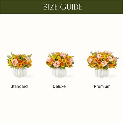 Peachy Pumpkin –  Fleuriste Lily-rose, Magog PQ