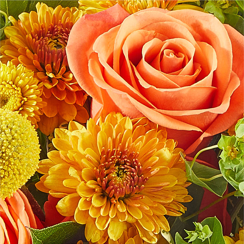 Gourdgeous Pumpkin –  Fleuriste Lily-rose, Magog PQ