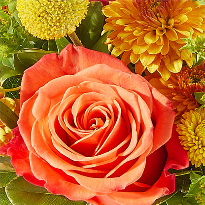 Gourdgeous Pumpkin –  Fleuriste Lily-rose, Magog PQ