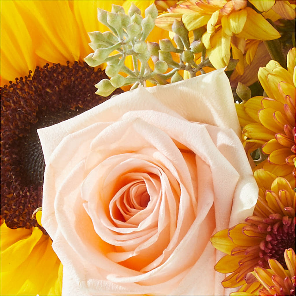 Pumpkin to Talk About Bouquet –  Fleuriste Lily-rose, Magog PQ