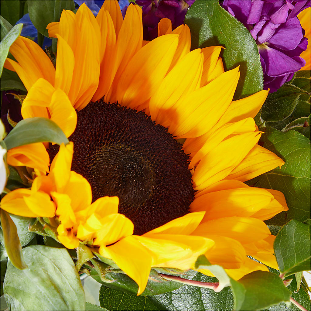 Catching Rays Bouquet –  Fleuriste Lily-rose, Magog PQ
