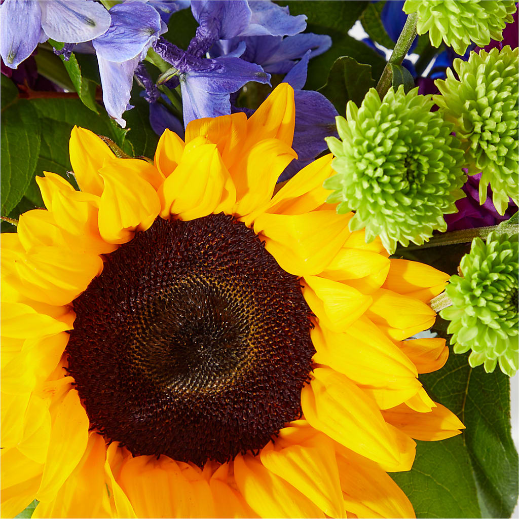 Catching Rays Bouquet –  Fleuriste Lily-rose, Magog PQ