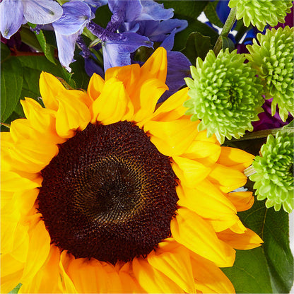 Catching Rays Bouquet –  Fleuriste Lily-rose, Magog PQ