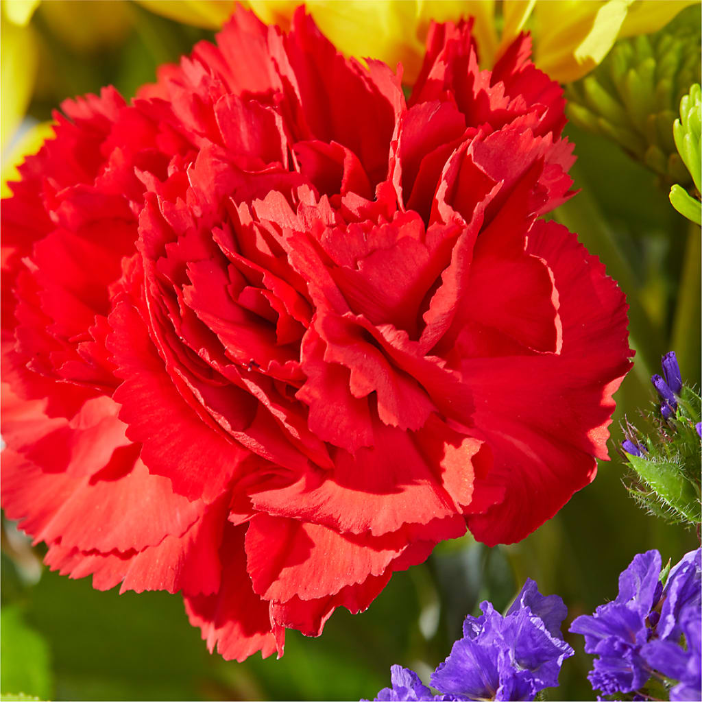 Brighter Days Bouquet –  Fleuriste Lily-rose, Magog PQ